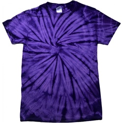 Kleidung T-Shirts Colortone Tonal Violett