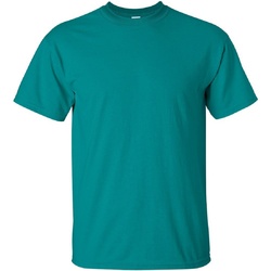 Kleidung Herren T-Shirts Gildan Ultra Jade