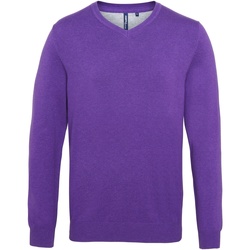 Kleidung Herren Pullover Asquith & Fox AQ042 Violett