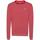 Kleidung Herren Pullover Tommy Jeans  Rot