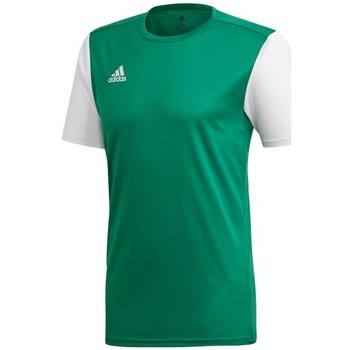 Kleidung Herren T-Shirts adidas Originals Estro 19 Weiß, Grün
