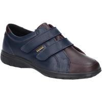Schuhe Damen Sneaker Low Cotswold  Marineblau/Braun