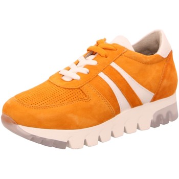 Schuhe Damen Sneaker Tamaris Schnürhalbschuh 1-23749-24 603 Orange