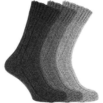 Unterwäsche Herren Socken & Strümpfe Universal Textiles  Grau