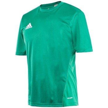 Kleidung Herren T-Shirts adidas Originals Core 15 Training Grün