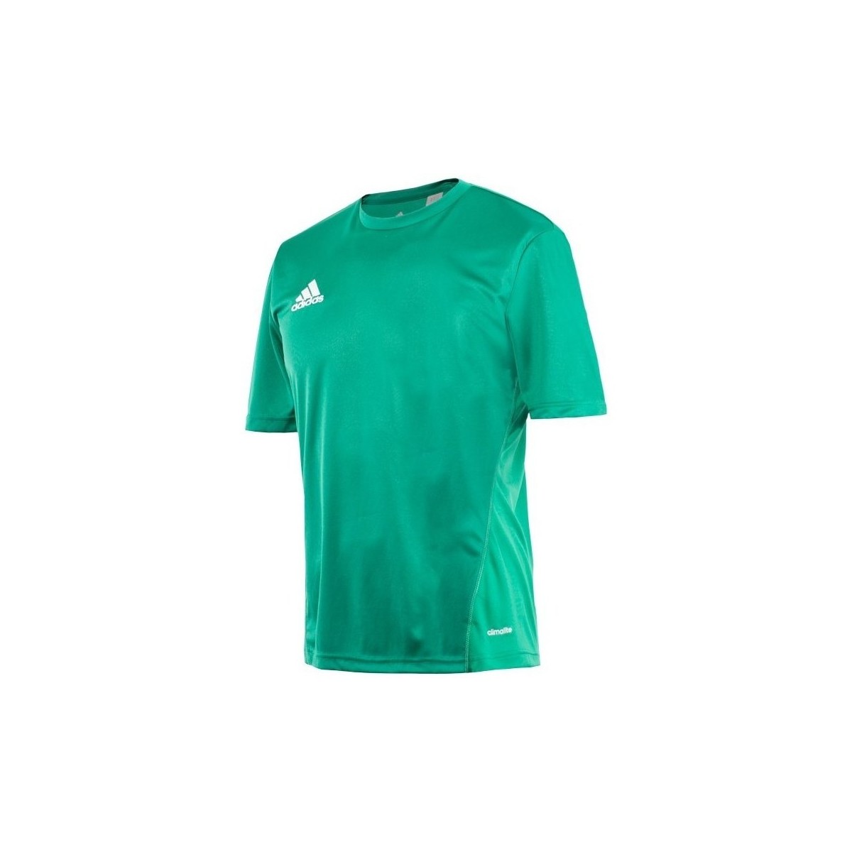 Kleidung Herren T-Shirts adidas Originals Core 15 Training Grün