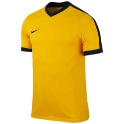Kleidung Herren T-Shirts Nike Striker IV Gelb