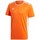 Kleidung Herren T-Shirts adidas Originals Entrada 18 Orange