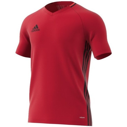 Kleidung Herren T-Shirts adidas Originals Condivo 16 Rot