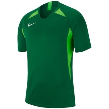 Kleidung Herren T-Shirts Nike Legend Grün