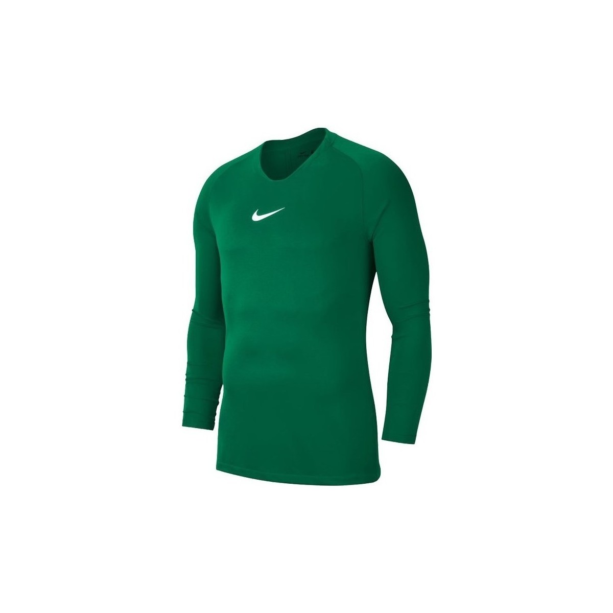 Kleidung Herren T-Shirts Nike Dry Park First Layer Grün