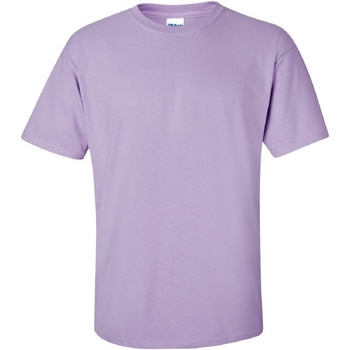 Kleidung Herren T-Shirts Gildan Ultra Multicolor