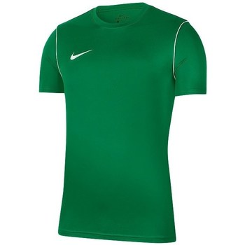 Kleidung Herren T-Shirts Nike Park 20 Grün