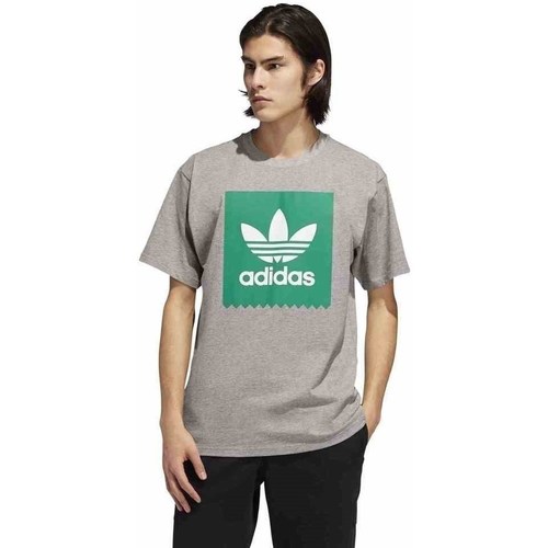 Kleidung Herren T-Shirts adidas Originals Originals Solid BB Grau
