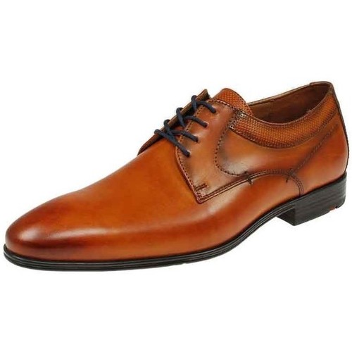 Schuhe Herren Derby-Schuhe & Richelieu Lloyd Business Madison 10-136-12-Madison Braun
