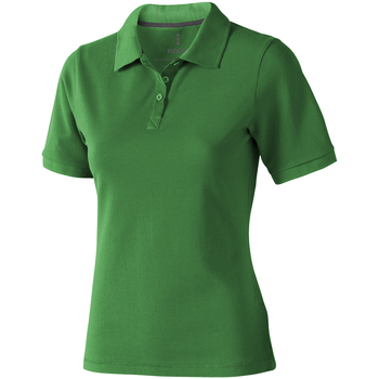 Kleidung Damen Polohemden Elevate  Grün