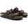 Schuhe Damen Sandalen / Sandaletten BIRKENSTOCK BK-ARIsfb-hab- Braun