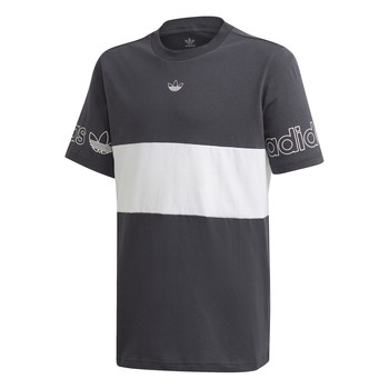 Kleidung Jungen T-Shirts adidas Originals PANEL TEE Grau / Weiss