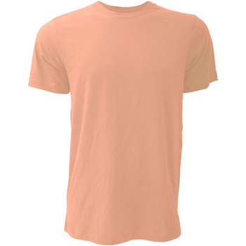 Kleidung Herren T-Shirts Bella + Canvas CA3001 Orange