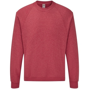 Kleidung Herren Sweatshirts Fruit Of The Loom 62216 Rot
