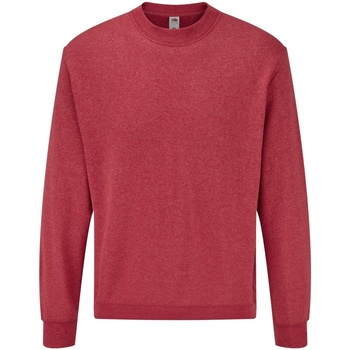 Kleidung Herren Sweatshirts Fruit Of The Loom 62202 Rot