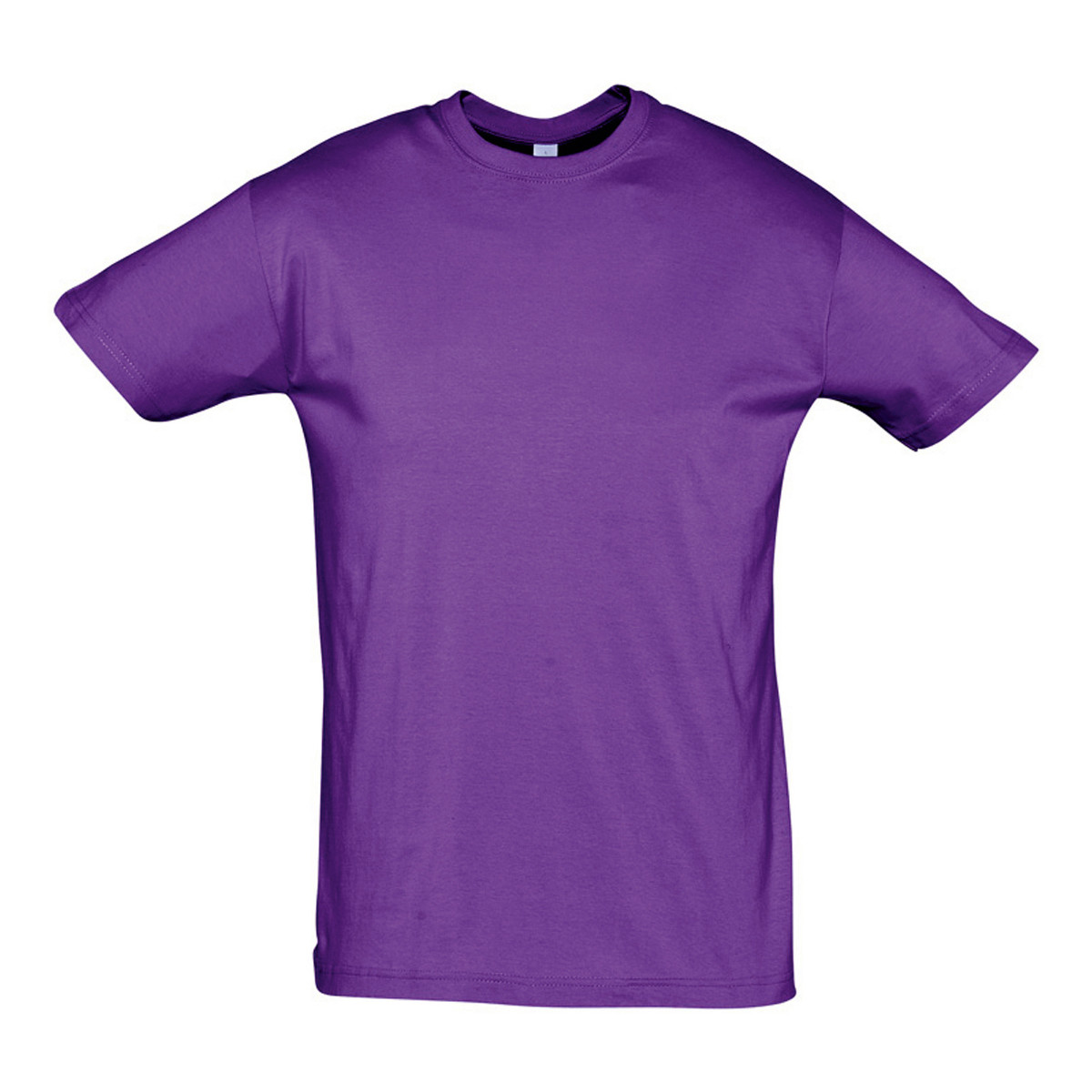 Kleidung T-Shirts Sols REGENT COLORS MEN-CAMISETA hombre  CUELLO REDONDO de algodón Violett