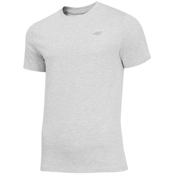 Kleidung Herren T-Shirts 4F TSM003 Grau
