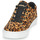 Schuhe Damen Sneaker Low Timberland SKYLA BAY LEATHER OXFORD Leopard