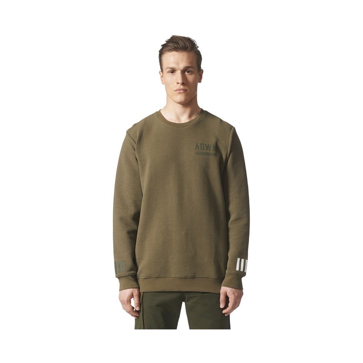 Kleidung Herren Sweatshirts adidas Originals Originals Olivgrün