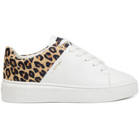 Schuhe Damen Sneaker Low Ed Hardy - Wild low top white leopard Weiss
