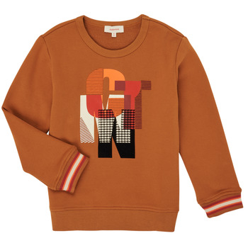 Kleidung Jungen Sweatshirts Catimini CR15024-63-C Braun
