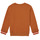 Kleidung Jungen Sweatshirts Catimini CR15024-63-J Braun
