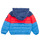 Kleidung Jungen Daunenjacken Levi's COLOR BLOCK PUFFER  Multicolor