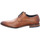 Schuhe Herren Derby-Schuhe & Richelieu Daniel Hechter Must-Haves Renzo Revo 811219011100-6300 Braun