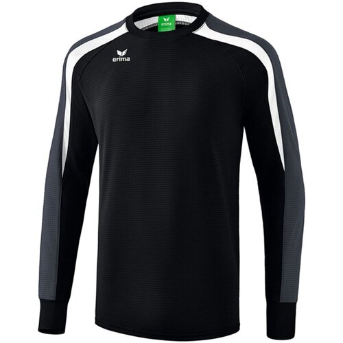 Kleidung Herren Pullover Erima Sport LIGA LINE 2.0 sweatshirt 1071864/958181 Other