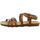 Schuhe Damen Sandalen / Sandaletten Plakton Sandaletten 575184 CAMELLO Braun