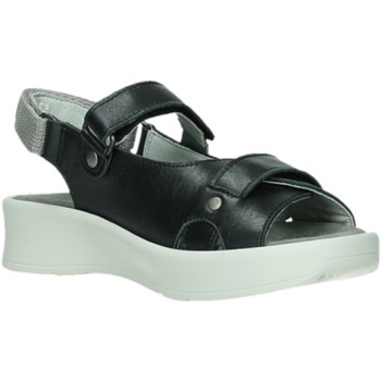 Schuhe Damen Sandalen / Sandaletten Wolky Sandaletten Globe 05350 schwarz