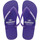 Schuhe Damen Zehensandalen Brasileras Classic W SS19 Violett