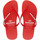 Schuhe Damen Zehensandalen Brasileras Classic W SS19 Rot