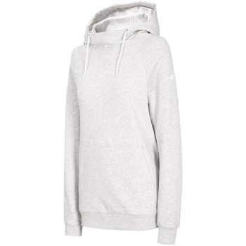 Kleidung Damen Sweatshirts 4F BLD002 Grau