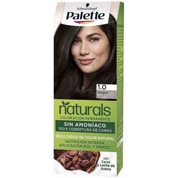 Beauty Damen Haarfärbung Palette Natural Tinte 1.0-black 