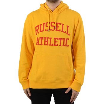 Kleidung Herren Sweatshirts Russell Athletic 131044 Gold