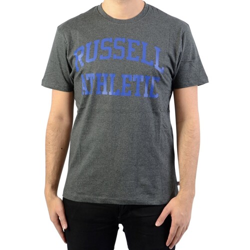 Kleidung Herren T-Shirts Russell Athletic 131036 Grau