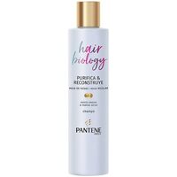 Beauty Shampoo Pantene Hair Biology Purifica & Repara Champú 