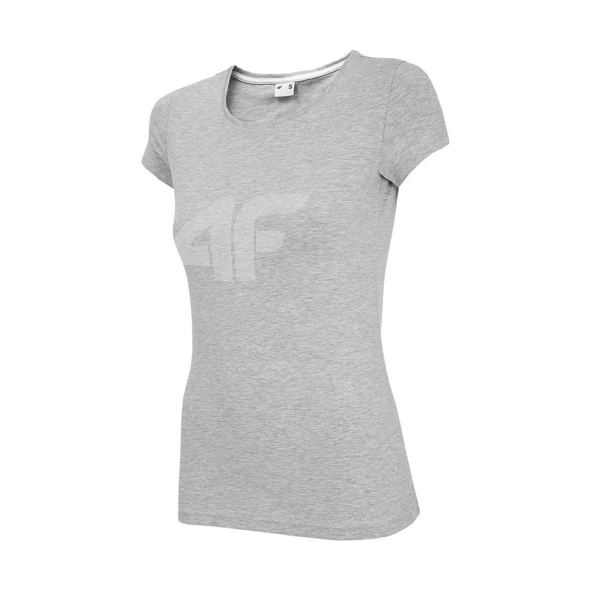 Kleidung Damen T-Shirts 4F TSD005 Grau