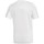 Kleidung Jungen T-Shirts adidas Originals JR Regista 20 Schwarz, Weiß