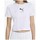 Kleidung Damen T-Shirts Puma Nutility Fitted Tee Weiss