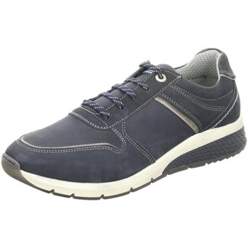 Schuhe Herren Derby-Schuhe & Richelieu Salamander Schnuerschuhe 31-54805-12 blau