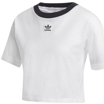 Kleidung Damen T-Shirts adidas Originals Crop Top Schwarz, Weiß