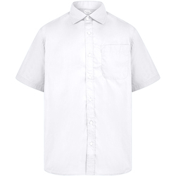 Kleidung Herren Kurzärmelige Hemden Absolute Apparel  Weiss